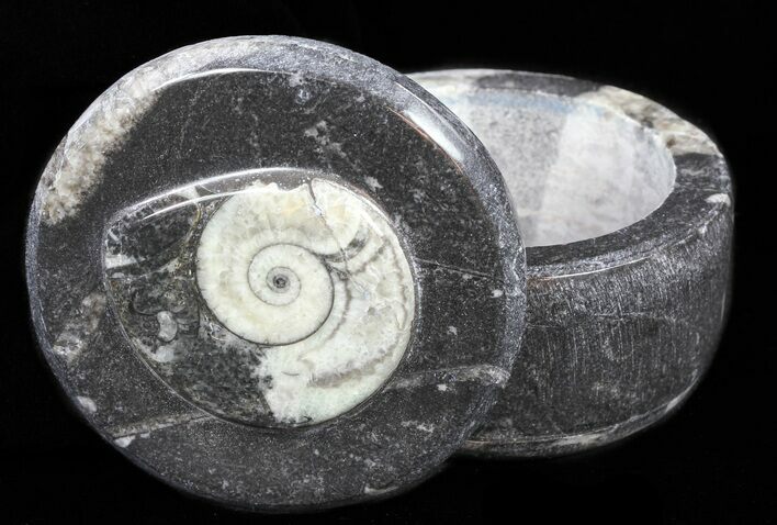 Small Fossil Goniatite Jar (Black) - Stoneware #60098